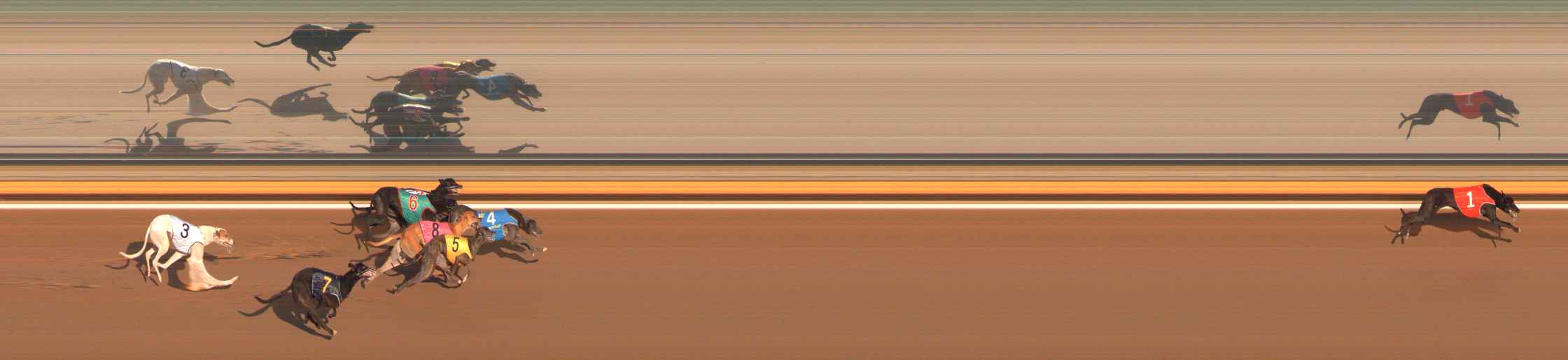 Race result finish photo